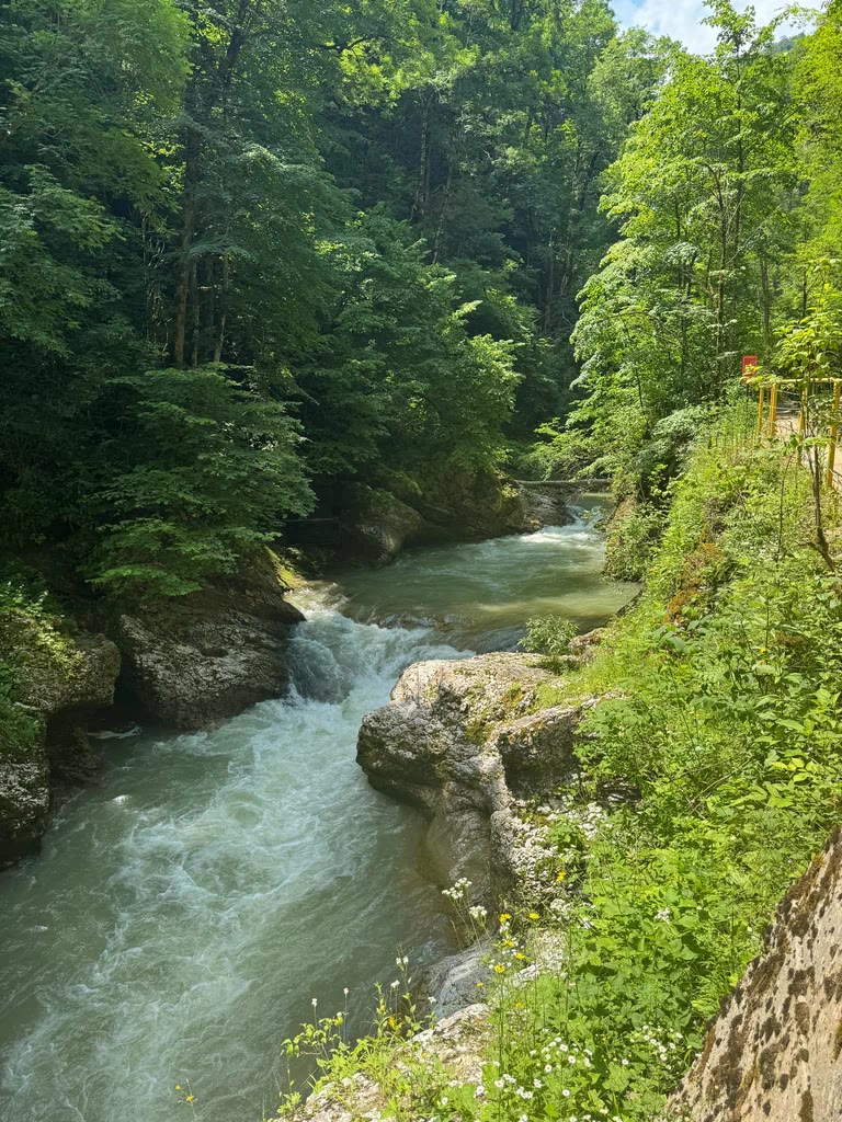 Каньон реки Белой в Хаджохской теснине