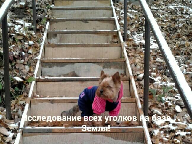 Фотоконкурс «Открытие Адыгеи» 2019