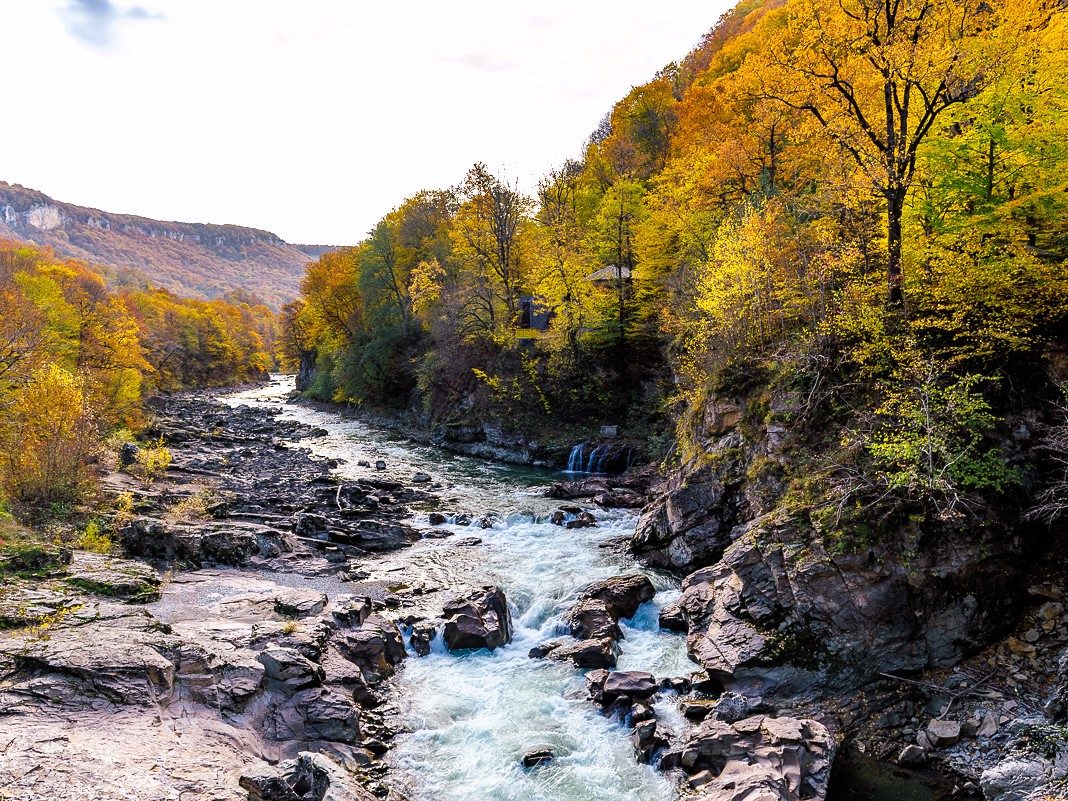 Горная река в оранжево-жёлтом осеннем лесу