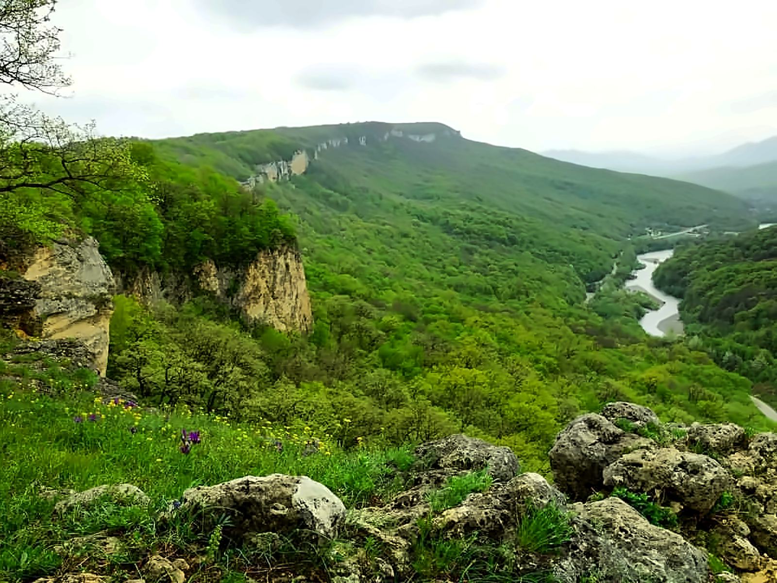 Зелёная долина